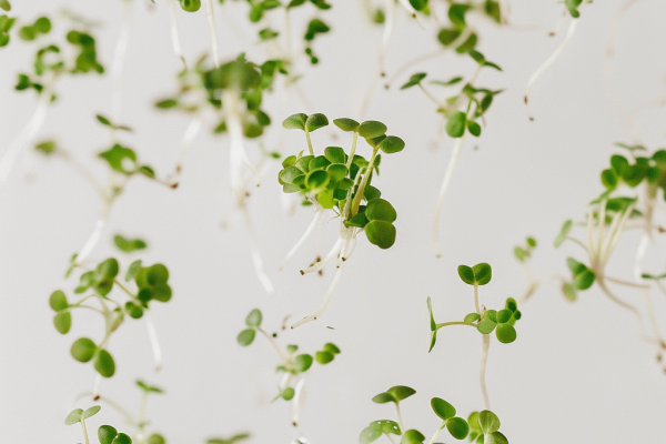 F68B0769-1552-4E6F-B20D-EA7EFEF39295 (1)