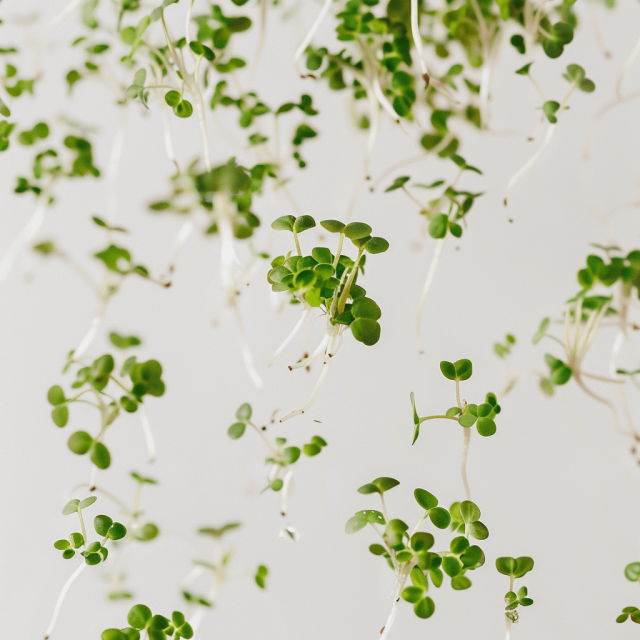 F68B0769-1552-4E6F-B20D-EA7EFEF39295 (1)